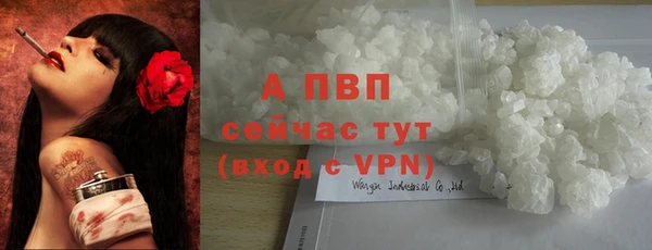 PSILOCYBIN Киреевск