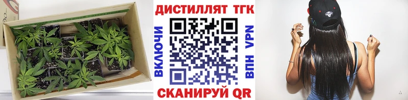 где найти наркотики  Нижнекамск  ТГК вейп с тгк 
